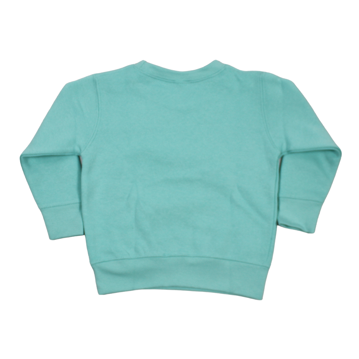 A mint green long-sleeve crewneck sweatshirt shown from the back, laid flat against a solid white background.