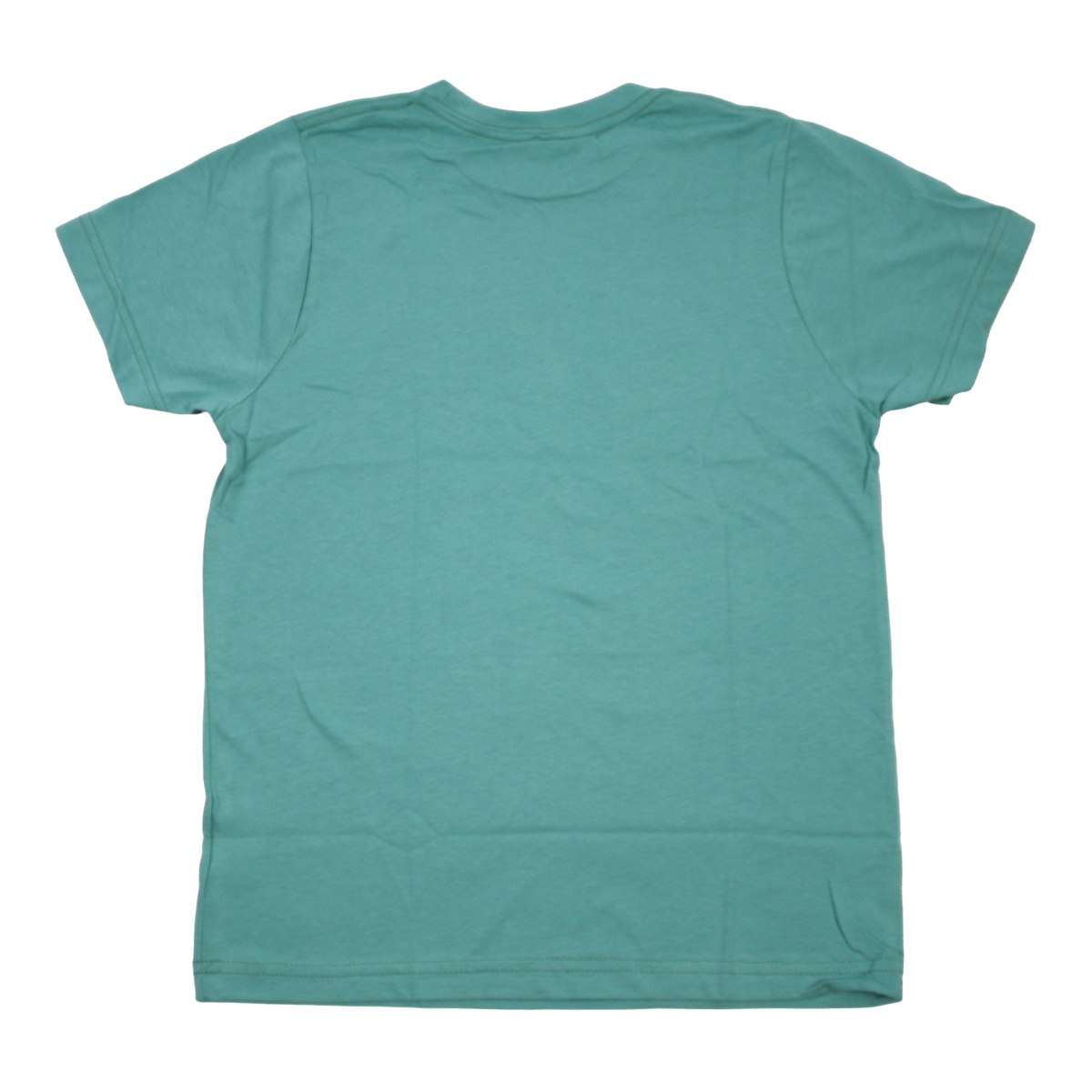 A plain short-sleeve crewneck t-shirt in a muted teal green color, shown from the back against a solid white background.